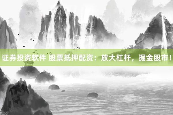 证券投资软件 股票抵押配资：放大杠杆，掘金股市！