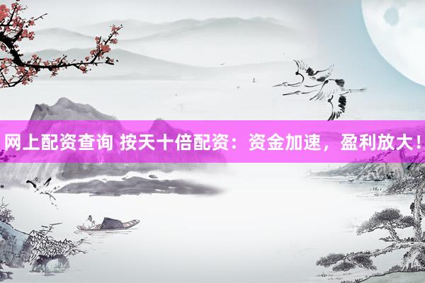 网上配资查询 按天十倍配资：资金加速，盈利放大！