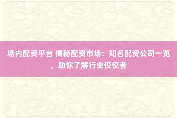 场内配资平台 揭秘配资市场：知名配资公司一览，助你了解行业佼佼者