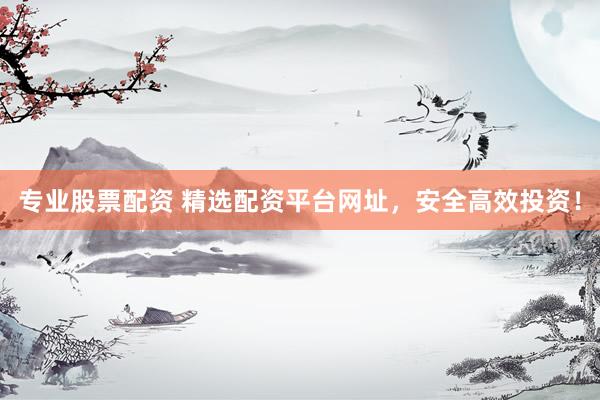 专业股票配资 精选配资平台网址，安全高效投资！