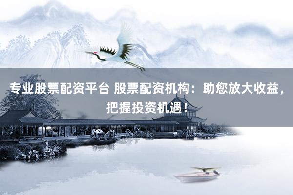 专业股票配资平台 股票配资机构：助您放大收益，把握投资机遇！