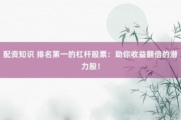 配资知识 排名第一的杠杆股票：助你收益翻倍的潜力股！