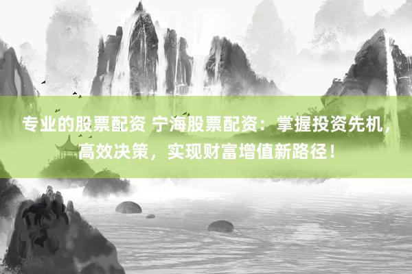 专业的股票配资 宁海股票配资：掌握投资先机，高效决策，实现财富增值新路径！
