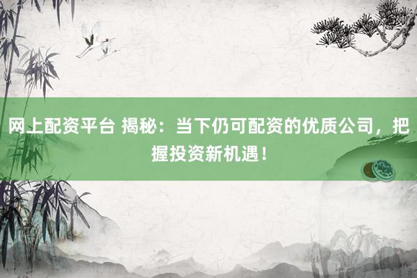 网上配资平台 揭秘:当下仍可配资的优质公司,把握投资新机遇!