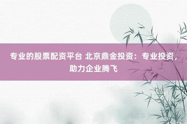 专业的股票配资平台 北京鼎金投资：专业投资，助力企业腾飞