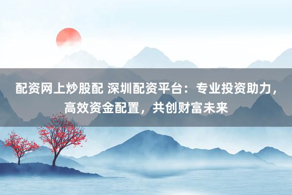 配资网上炒股配 深圳配资平台：专业投资助力，高效资金配置，共创财富未来