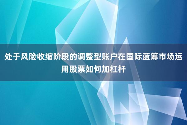 处于风险收缩阶段的调整型账户在国际蓝筹市场运用股票如何加杠杆