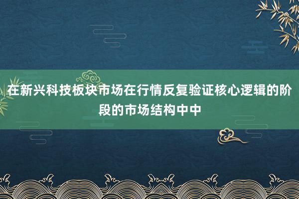 在新兴科技板块市场在行情反复验证核心逻辑的阶段的市场结构中中