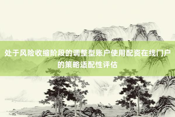 处于风险收缩阶段的调整型账户使用配资在线门户的策略适配性评估