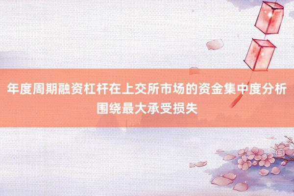 年度周期融资杠杆在上交所市场的资金集中度分析围绕最大承受损失