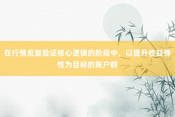 在行情反复验证核心逻辑的阶段中,以提升收益弹性为目标的账户群